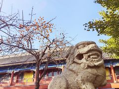 -北京石刻艺术博物馆(五塔寺)