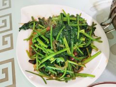 -额吉饺子馆(新石北路店)