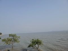 -深圳湾公园(南山区)
