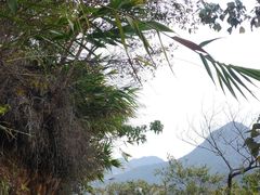 -羚羊峡古栈道森林公园