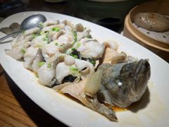 清蒸鲜鲈鱼-金苑酒家·客家菜·广东老字号(万象店)