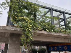 -半坡国际艺术区