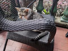 -马勒别墅·中餐厅