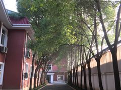 -桃浦镇社区卫生服务中心