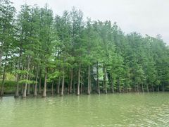 -苏州太湖国家湿地公园