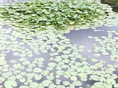 -贵阳市花溪国家城市湿地公园