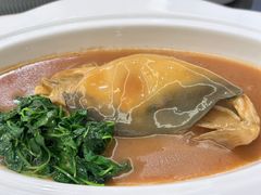 -沈灶河豚宴·河豚融合餐厅(汉中路店)