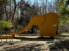 -东平国家森林公园