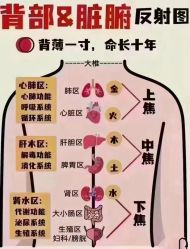 -香薇妮丝女子减肥院