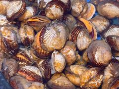 -聚盛源蒸汽海鲜火锅烤肉自助(巨川金海岸购物广场店)