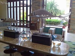 android_upload_pic-三亚海棠湾喜来登度假酒店