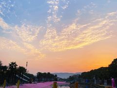 -苏州太湖西山岛开心农场