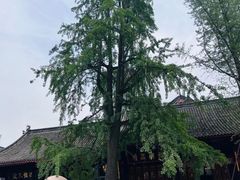 -古大圣慈寺