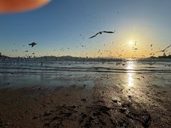 -青岛第一海水浴场