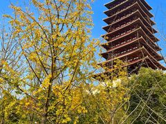 -牛首山文化旅游区