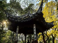 -秋霞圃