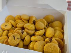 奶香提子酥-鲍师傅糕点(西站店)