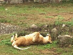 -西安秦岭野生动物园