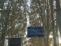 -毛氏汽水包(山海关路店)