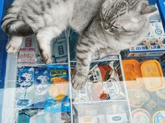 -西关84·History·Art·Cafe