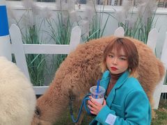 -Blue Concept Cafe&Farm·關於藍