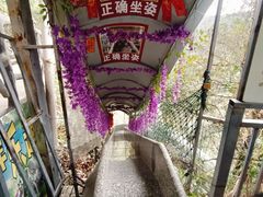 -九龙江国家森林公园