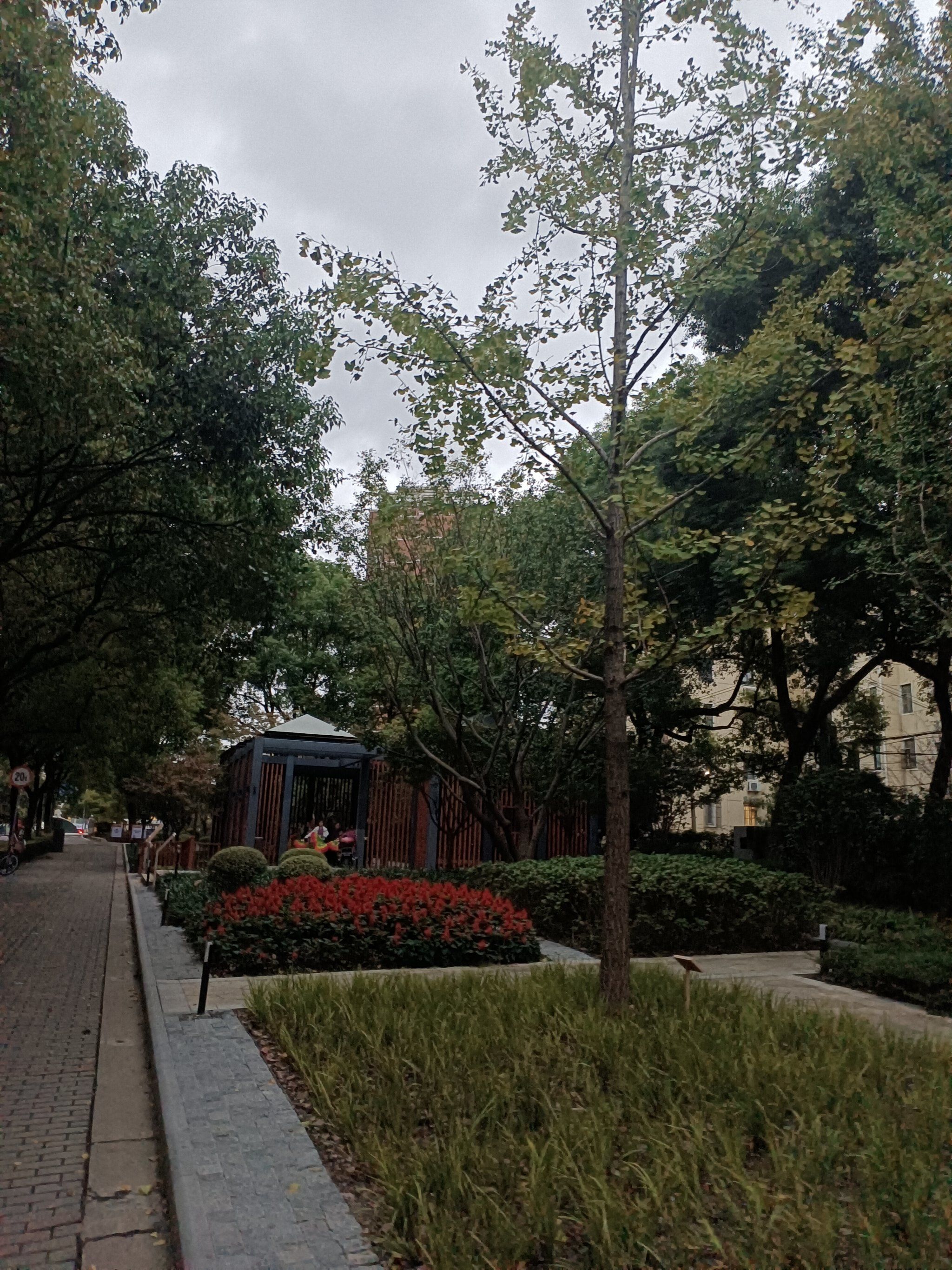街心花园也热闹