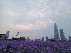 -深圳湾公园(南山区)