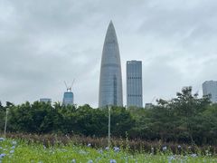 -深圳湾公园(南山区)