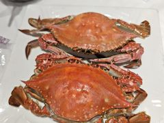 -渔民船说·北塘海鲜·天津菜·海肠捞饭(北塘古镇店)
