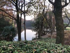 -灵谷景区