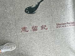 -中国第四纪冰川遗迹陈列馆