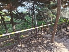 -北京十三陵国家森林公园蟒山景区