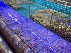 -海韵之星邮轮水会(明发商业广场店)