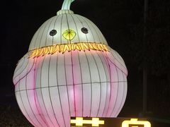 -武汉园博园(武汉自然博物馆)