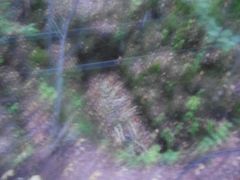 -峡谷浮石林景区