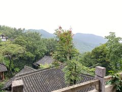 -中国茶叶博物馆(双峰馆区)
