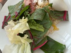 -首尔仁川机场ASIANA LOUNGE贵宾候机室(Incheon)