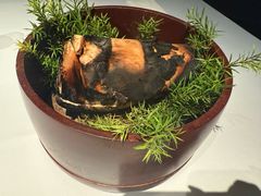 -京兆尹(雍和宫店)