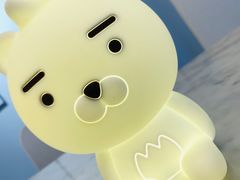 -KAKAO FRIENDS(弘大店)