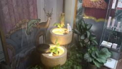 -苗方清颜·祛痘皮肤管理