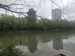 -浮庄