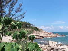 -广东惠东海龟国家级自然保护区