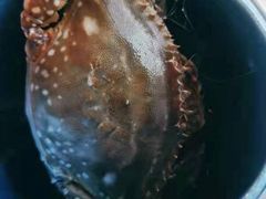 -澜悦港海鲜体验主题餐厅