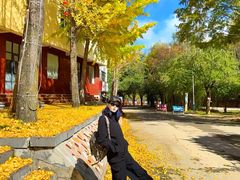 -洛阳白云山景区