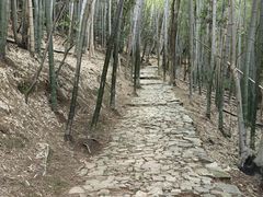 -穹窿山景区