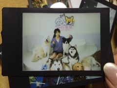 -汪说·狗咖·拼豆·宠物周边DIY(旺城大厦店)