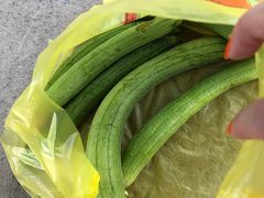 -马陆小张葡萄园农家乐