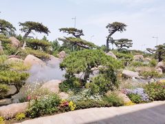 -罗红摄影艺术馆