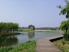 -东郊湿地公园